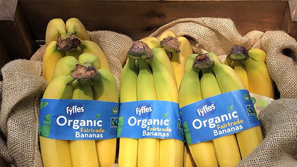 Fyffes raising the profile of its organic bananas