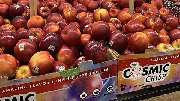 Cosmic Crisp apple that can reportedly last for a year to hit US