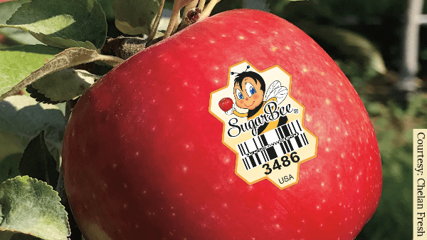 Community events build buzz for new SugarBee® apple - Chelan Fresh