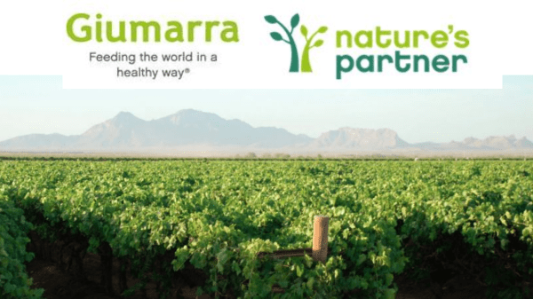 Giumarra now offer Fair Trade Certified avocados – Produce Blue Book