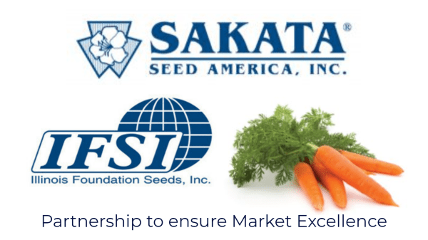 Sakata- IFSI Final Banner