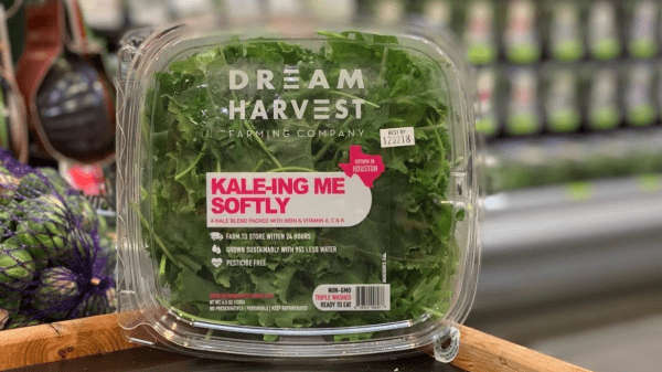 dream harvest kale