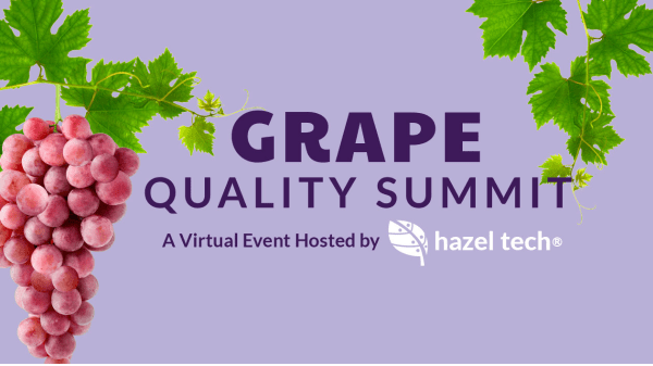 Hazel Tech – Grape Quality Summit Final Banner