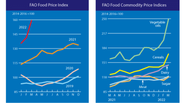 fao food price charts