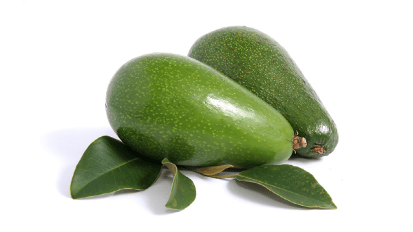 green skin avocado