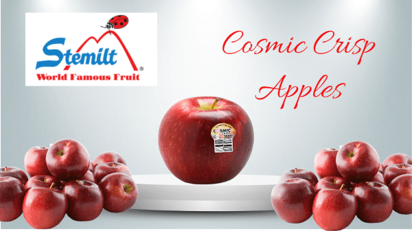 Cosmic Crisp Apples