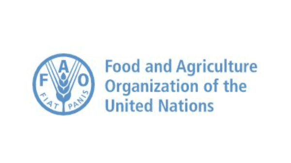 UN fao logo