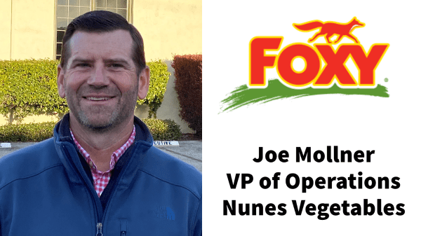 joe mollner nunes