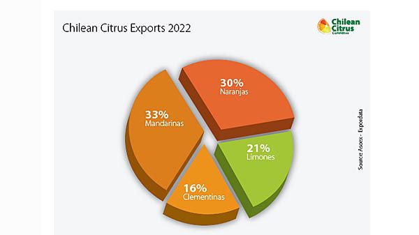 chilean citrus exports