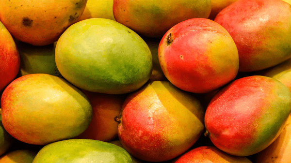 Mangos — Melissas Produce