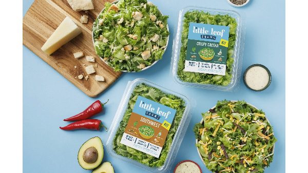 little leaf farms salad kits