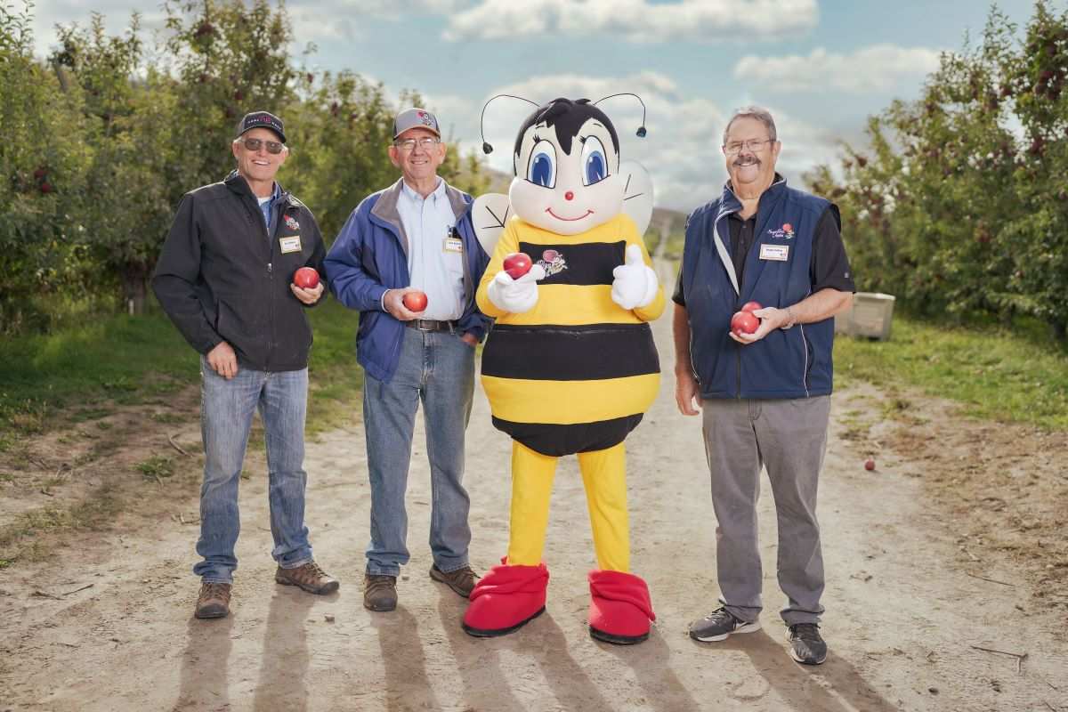 First National SugarBee Apple Day this week