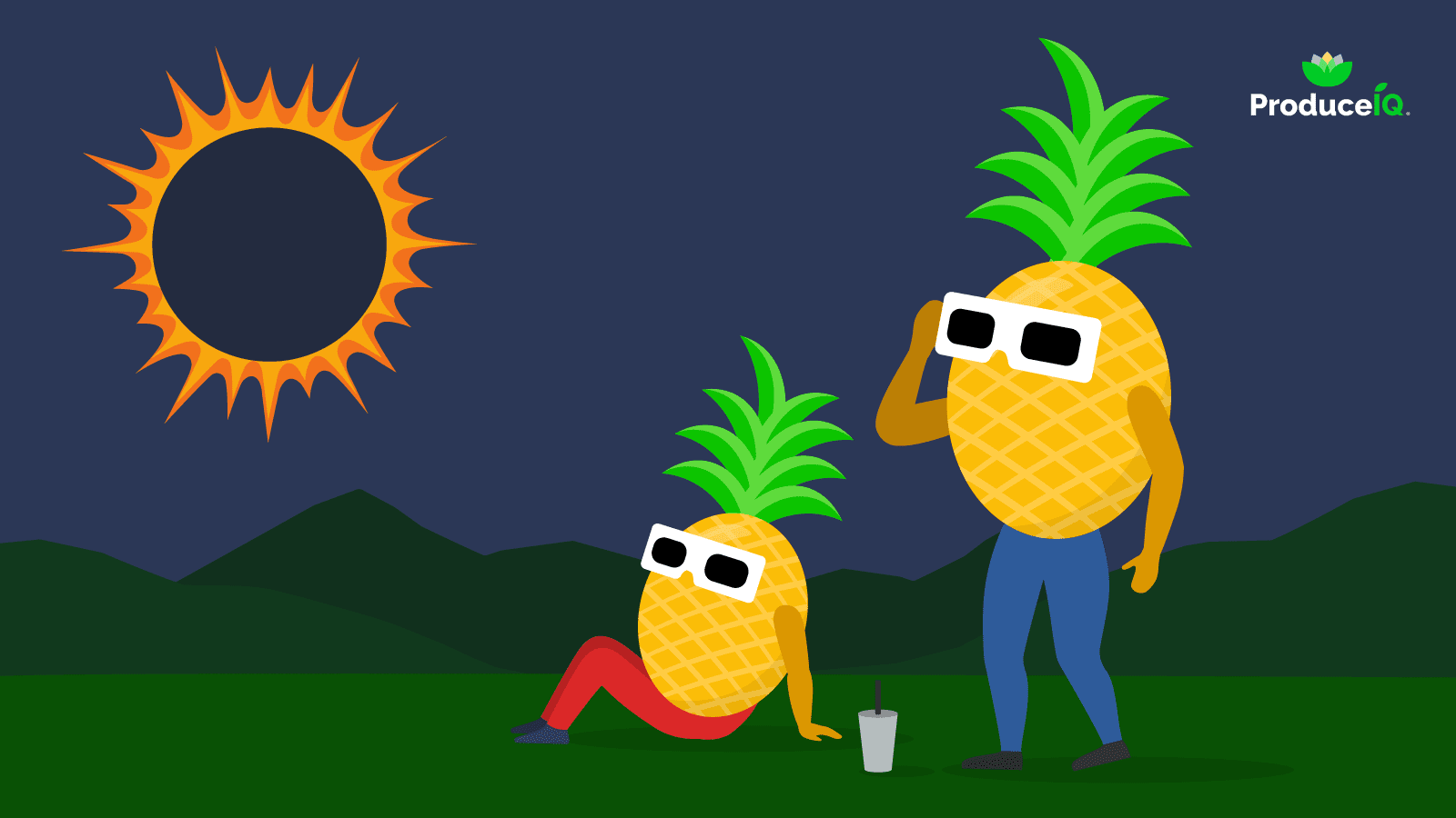 Pineapple-watching-the-eclipse