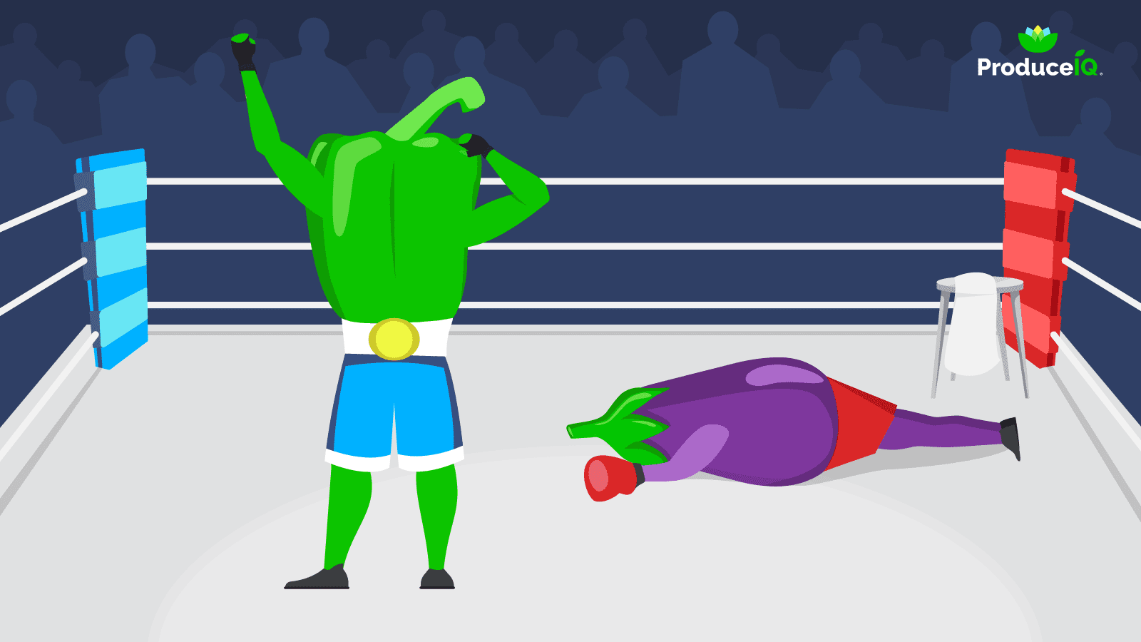 Boxing-champion-green-bellpepper