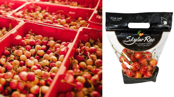 CMI Orchards now offers Skylar Rae cherries - Produce Blue Book