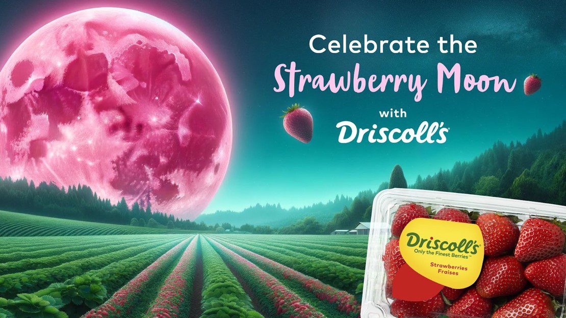 driscoll's strawberry moon