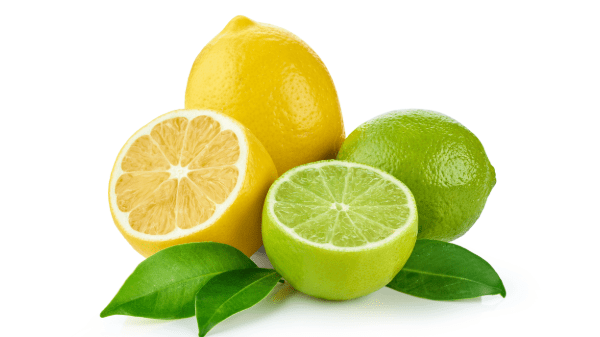 lemons limes stock
