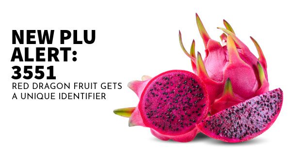 red dragon fruit