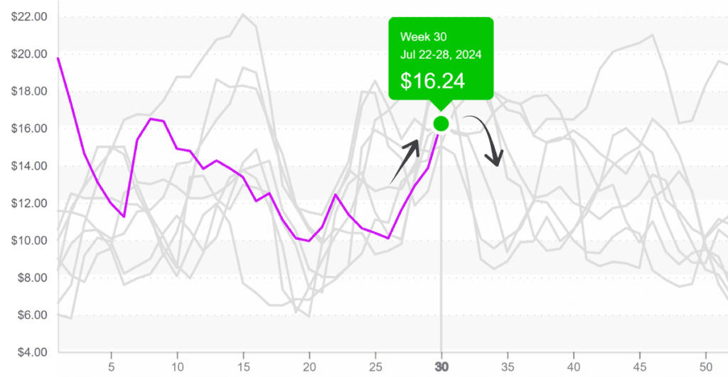 Blackberries-graph-july29-2024