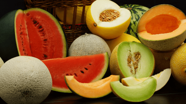 melons stock