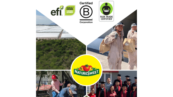 naturesweet sustainability report