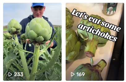 tiktok produce with pamela artichokes