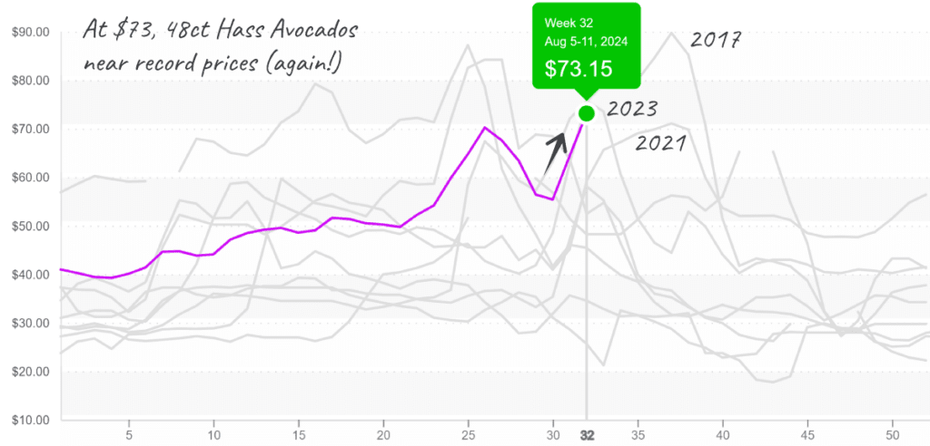 Avocado-graph-august12-2024