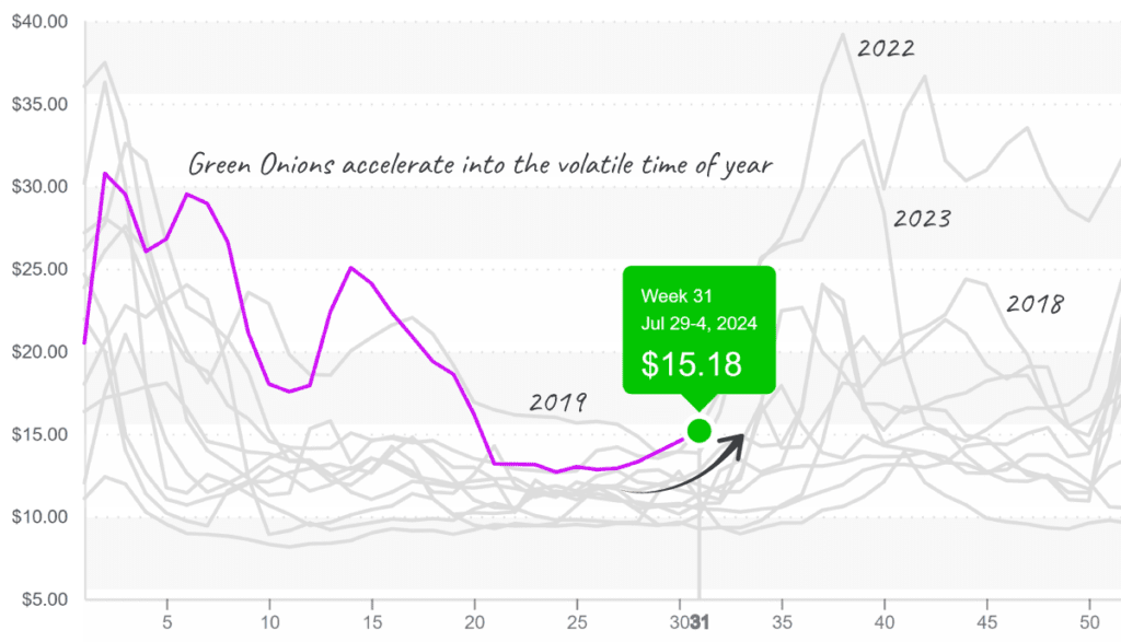 Green-onions-graph-august5-2024