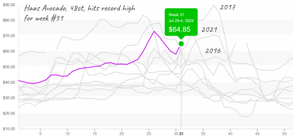 Haas-avocado-graph-august5-2024