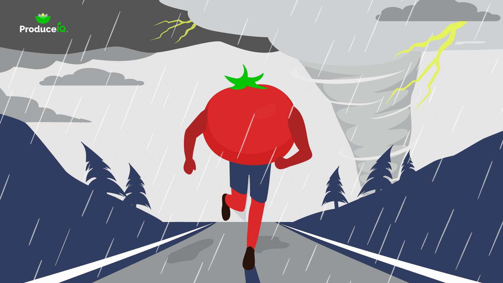 Round-tomato-running-away-from-hurricane