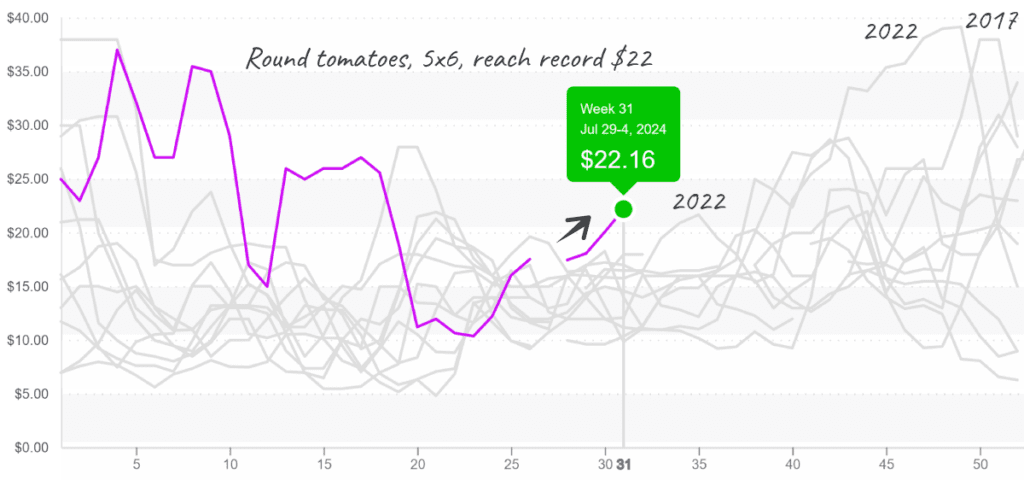 Round-tomatoes-graph-august5-2024