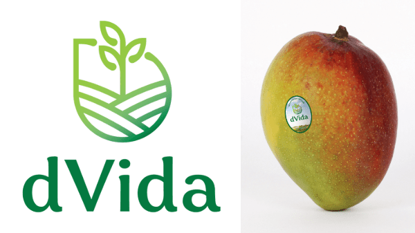 dvida mango