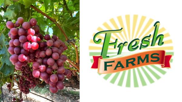 fresh farms red grapes
