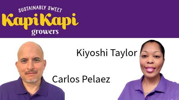 kapi kapi logistics hires