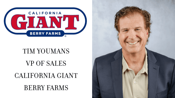 tim youmans cal giant