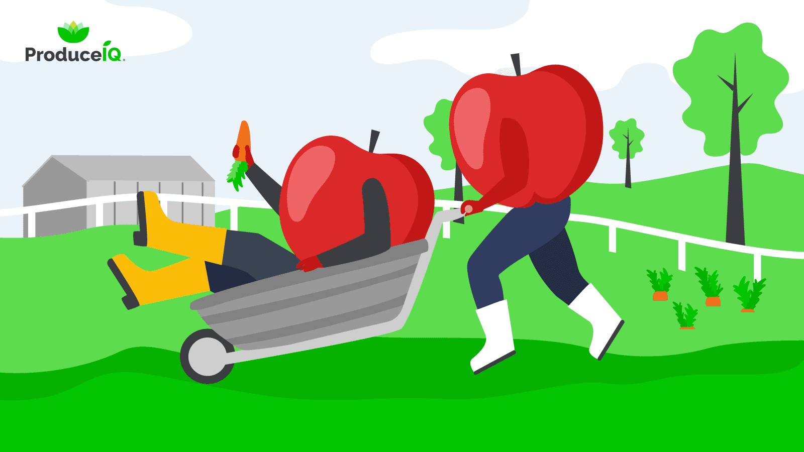 Apple-farm