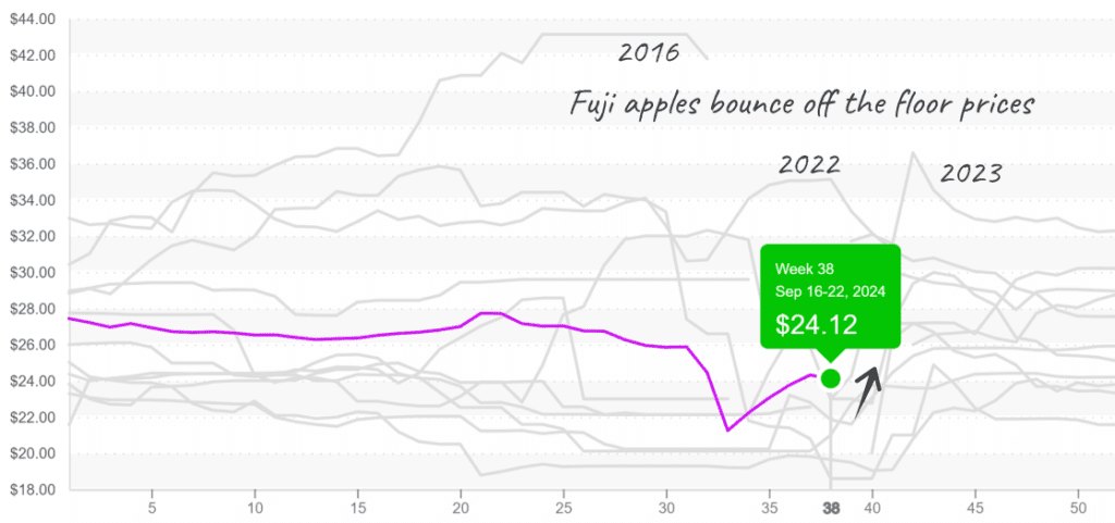 Apples-graph-sept23-2024