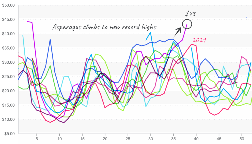 Asparagus-graph-sept23-2024