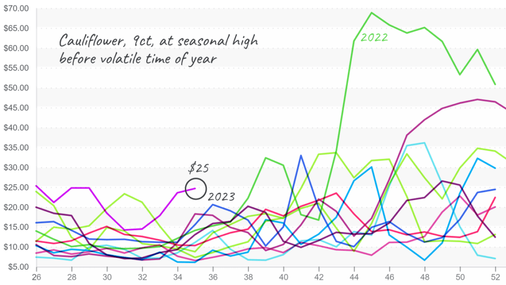 Cauliflower-graph-sept3-2024