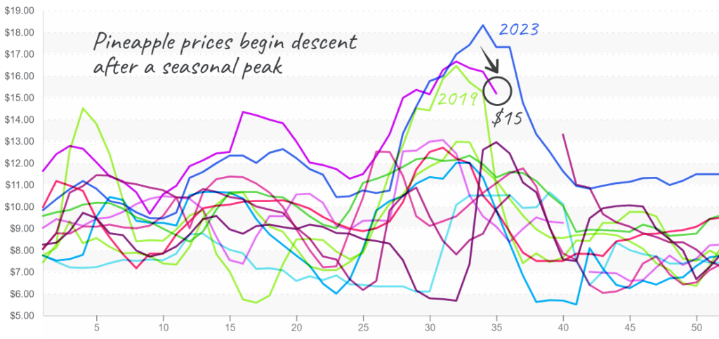 Pineapple-graph-sept3-2024