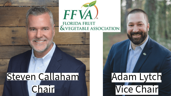 ffva chairs 2024