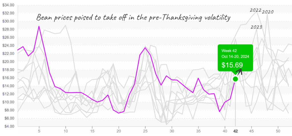 Bean-graph-october21-2024