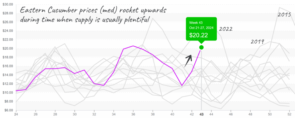 Cucumber-graph-oct28-2024