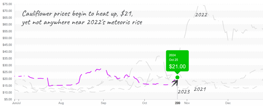 Cauliflower-graph-oct28-2024