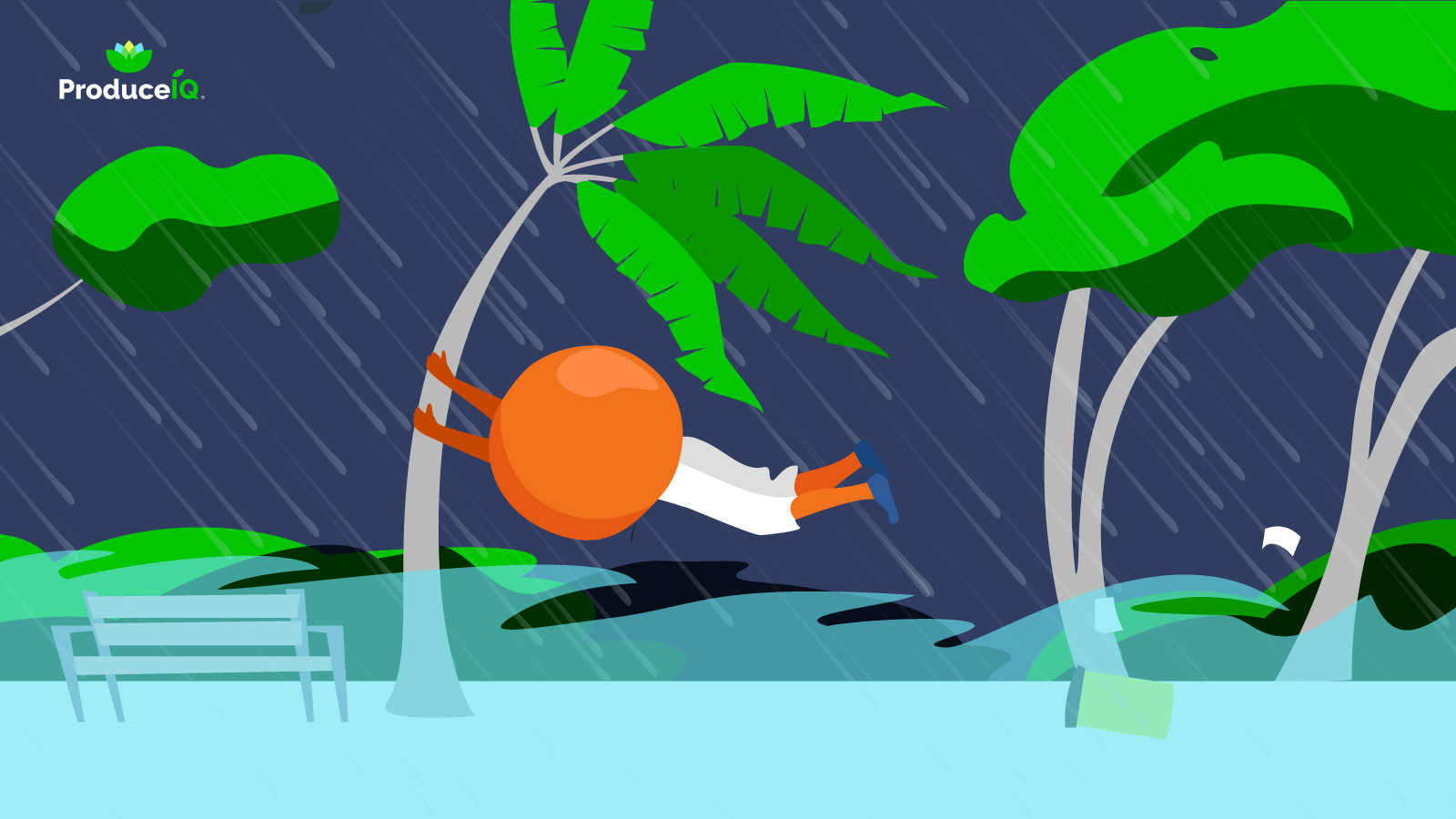 Orange-stuck-in-the-hurricane