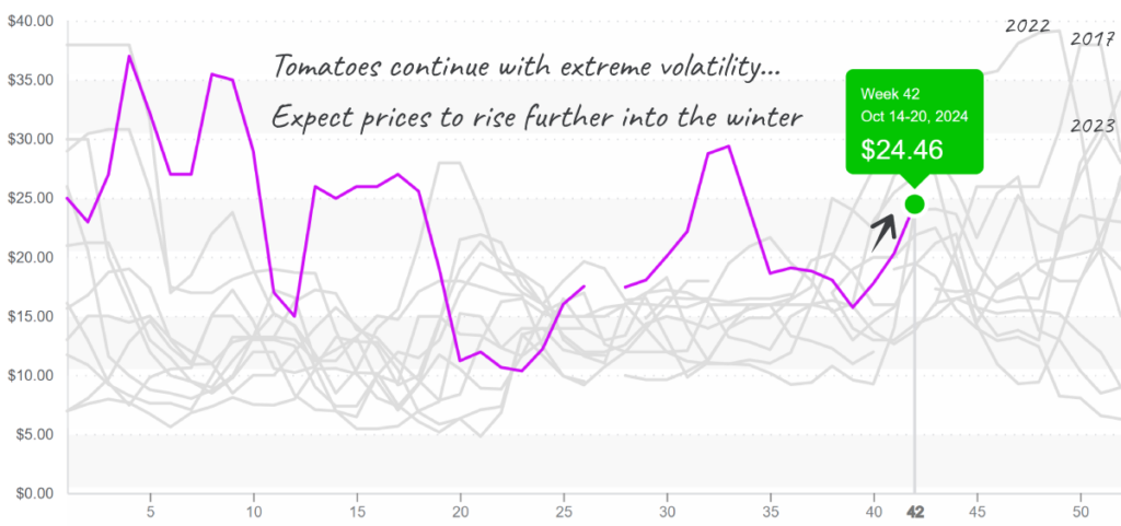 Tomatoes-graph-october21-2024