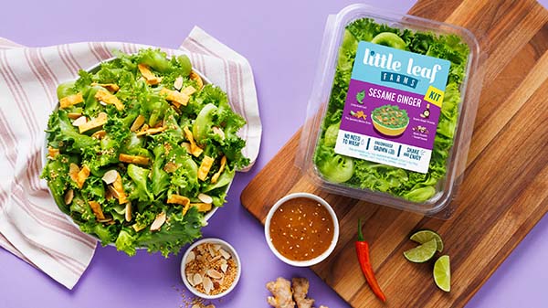 little leaf salad kit