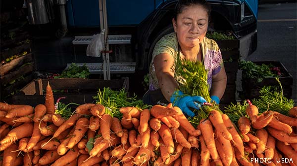 usda farmers market