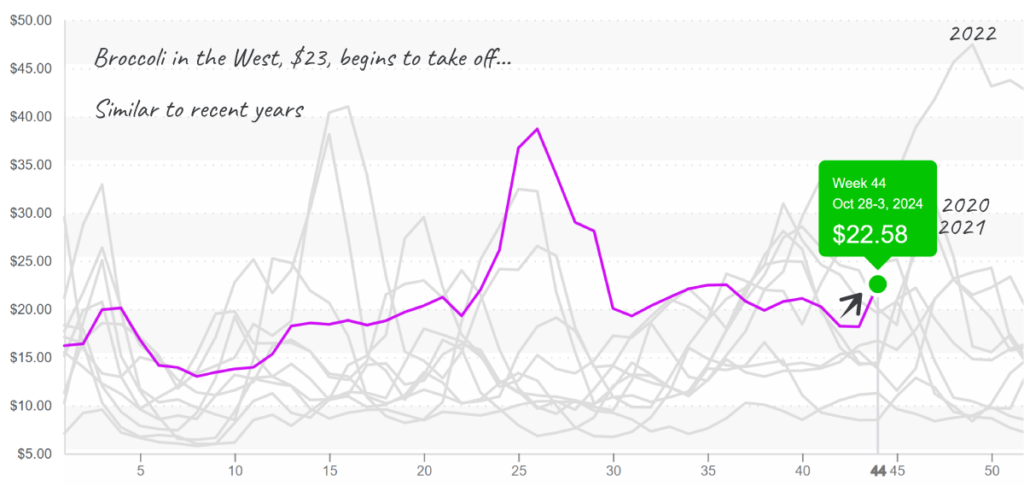 Broccoli-graph-nov4-2024