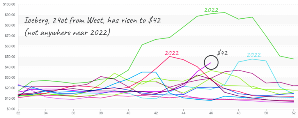 Iceberg-graph-nov18-2024